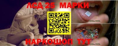 apvp Гатчина