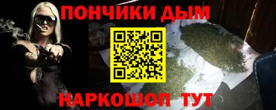 apvp Гатчина