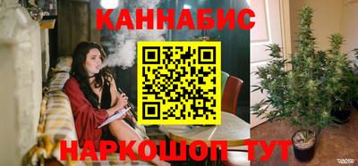 apvp Гатчина